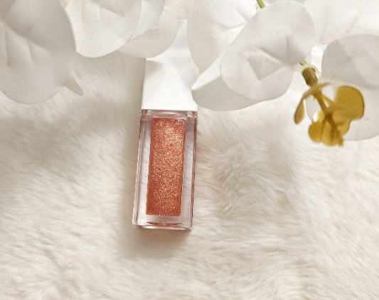 Shimmer Chic Lip Gloss 5ml
