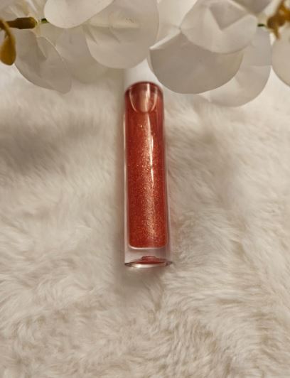 Shimmer Chic Lip Gloss 5ml